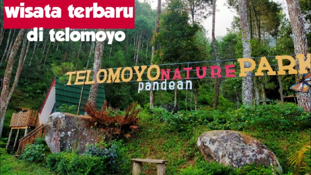 Telomoyo Nature Park: Pesona Alam Menakjubkan di Lereng Gunung Telomoyo